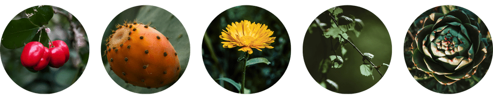 Affiline_koostisosad_ring - Nahrin