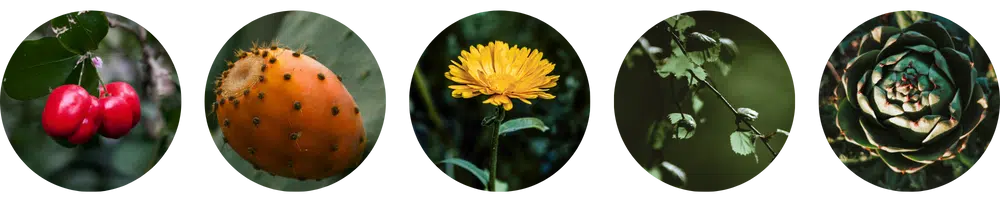 Affiline_koostisosad_ring - Nahrin