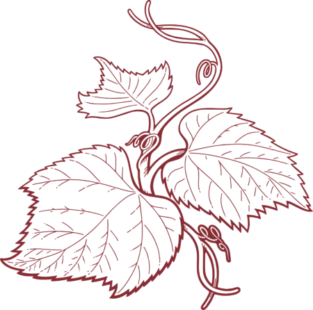 mesikas - Nahrin mesikas