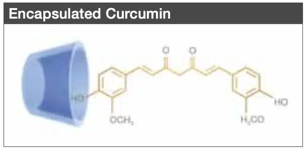 kapseldatud kurkumiin - Nahrin kapseldatud kurkumiin