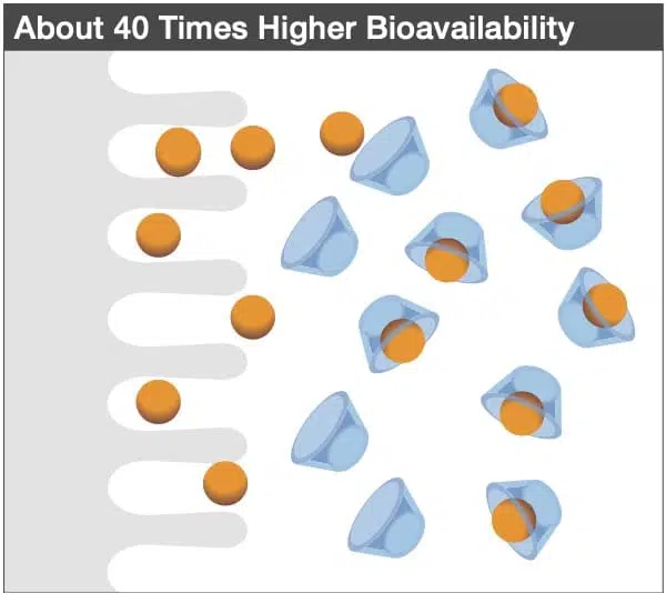 kuni-40-korda-parem-kurkumiini-imendumine - Nahrin