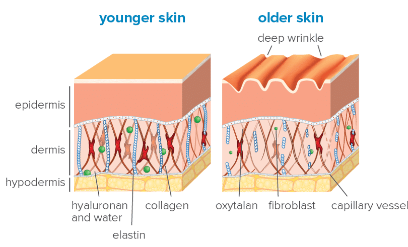 parim kollageeni pulber looduslik hüaluroonhappega ilukollageen - Nahrin parim kollageeni pulber looduslik hüaluroonhappega ilukollageen