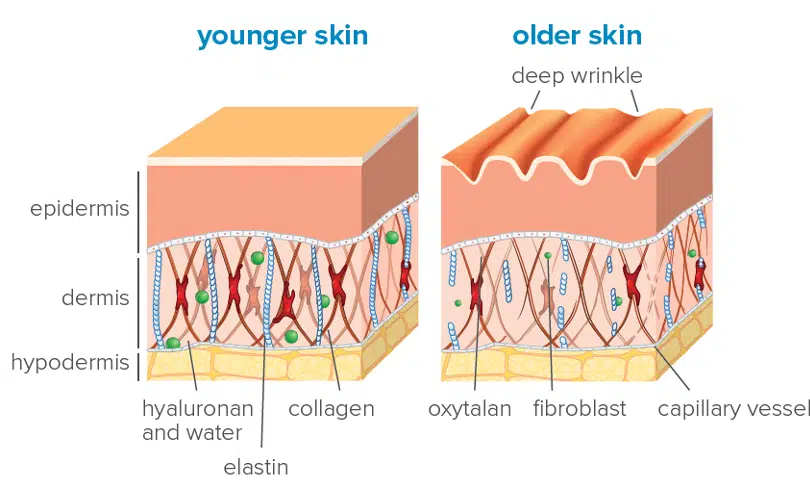 parim kollageeni pulber looduslik hüaluroonhappega ilukollageen - Nahrin parim kollageeni pulber looduslik hüaluroonhappega ilukollageen