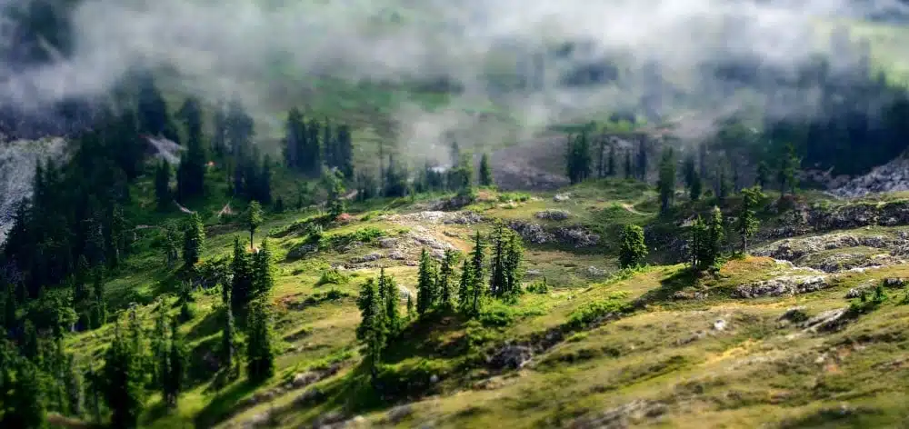 Nohu_ja_kinnise_nina_looduslik_ravi_ja-leevendus_taiskasvanutel - Nahrin