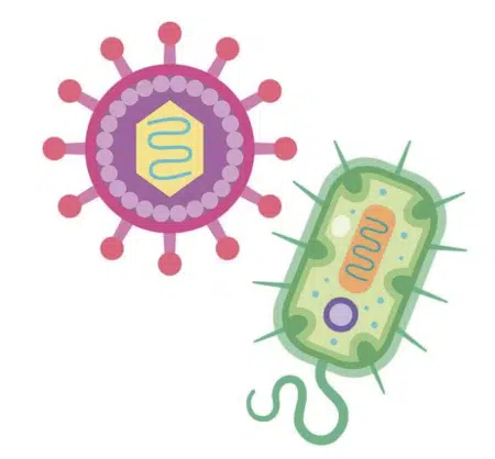 Screenshot-2022-10-12-at-222049 - Nahrin