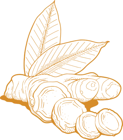 Ingver kurkum - Nahrin Imbir kurkuma