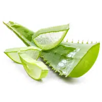 aloe vera ekstrakt - Nahrin ekstrakt z aloesu