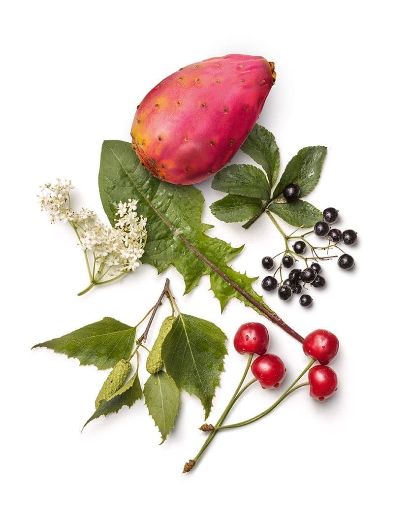 Affilinejpg - Nahrin