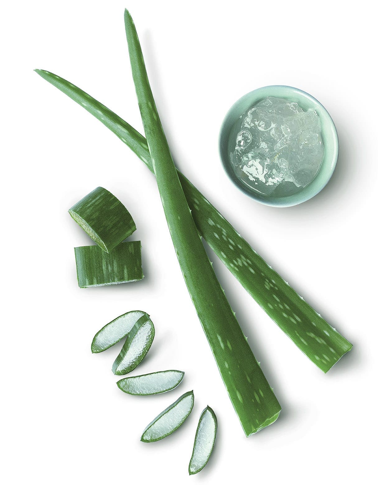 Aloe-Vera-1jpg - Nahrin