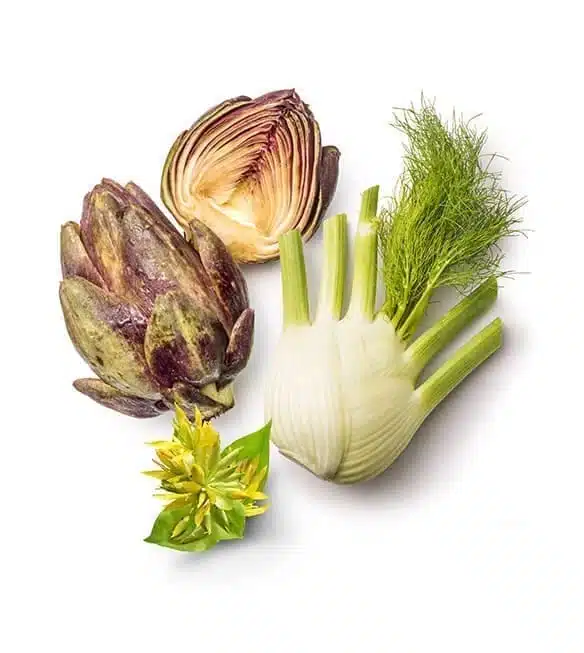 Artischocken-Bitter-2jpg - Nahrin