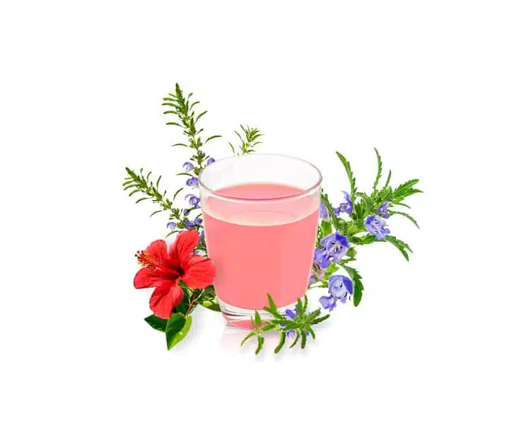 Illustration-Collagen-Complexjpg - Nahrin