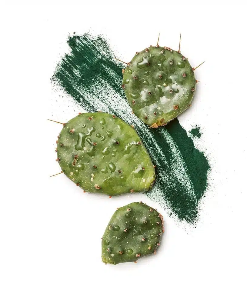 Minci-Plus-1jpg - Nahrin