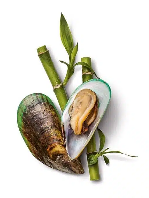 Os-Ar-Tenjpg - Nahrin