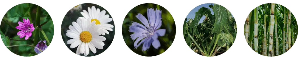 Składniki aktywne - Nahrin Składniki aktywne